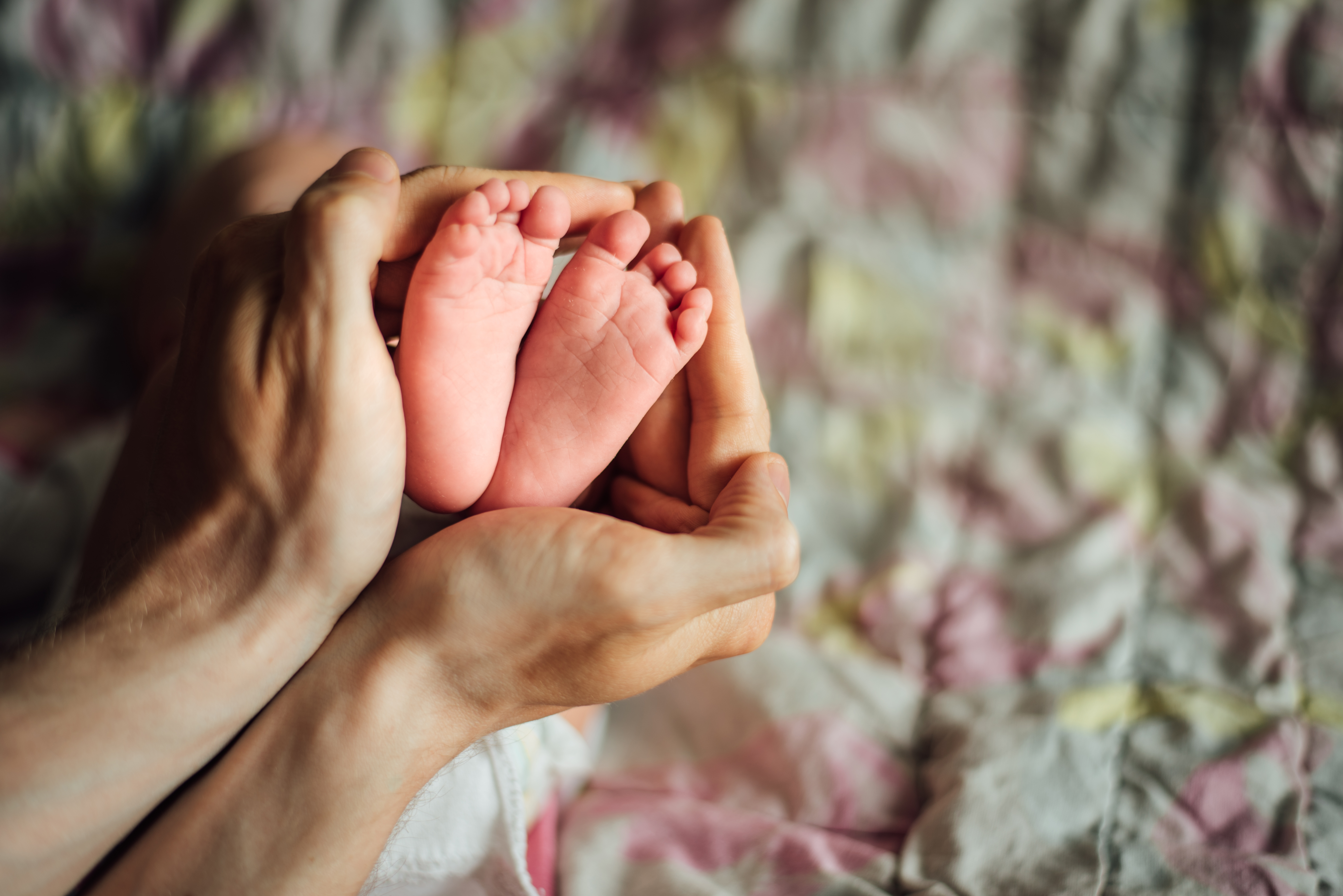 Premature infant feet being held in the hands of an adult.
